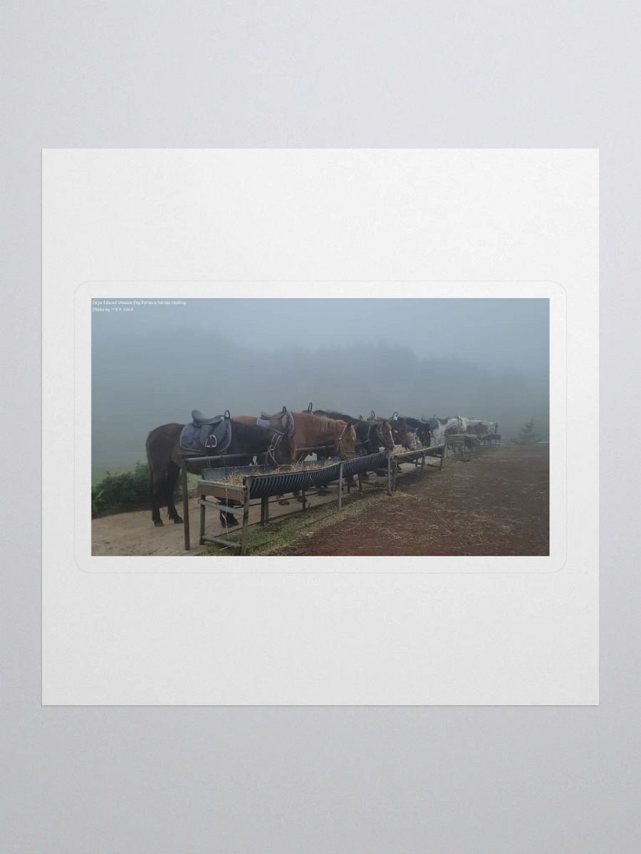 Jeju Island Unesco fog Korean horses resting product image (1)
