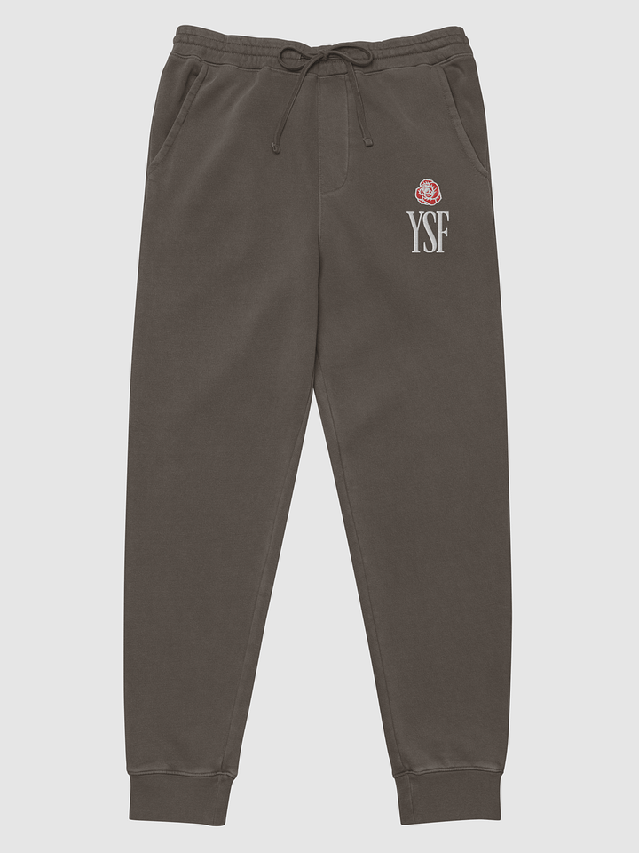 YSF Light Sweatpants product image (1)