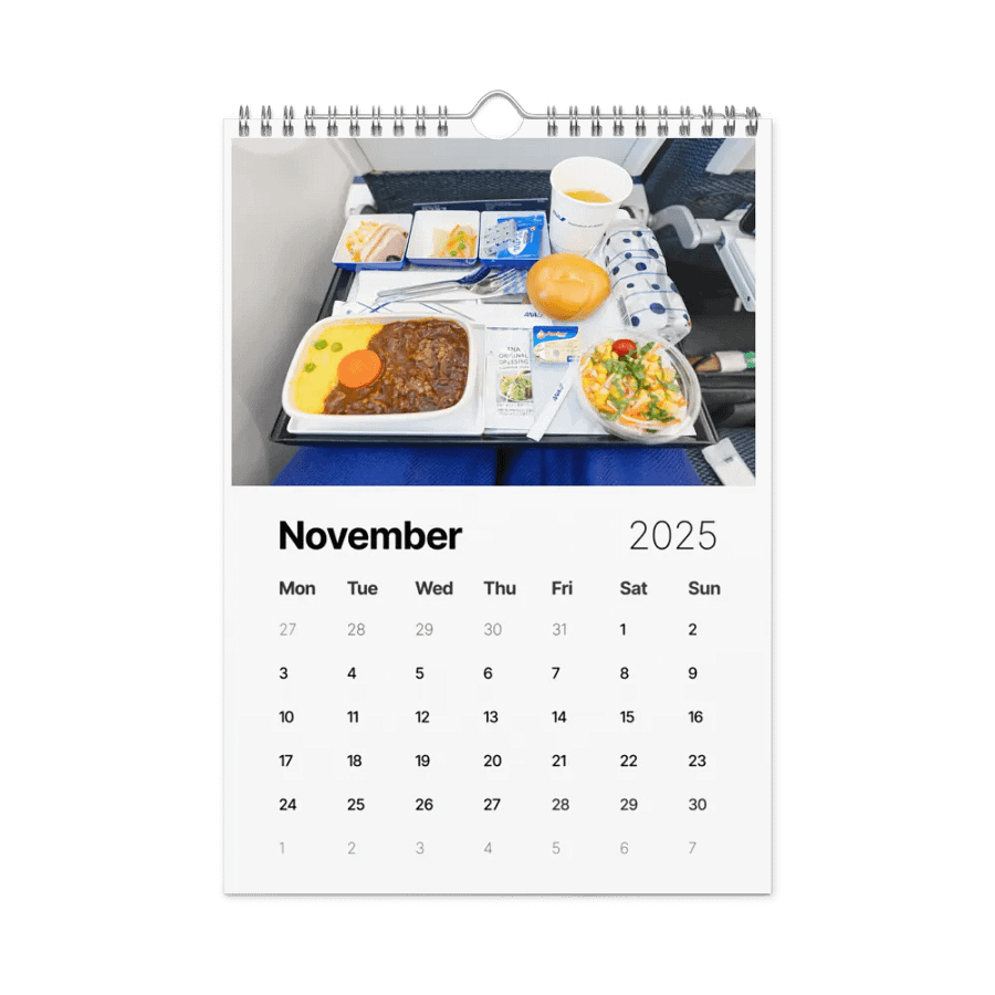 2025 Wall Calendar - Best Of: Airplane Food - (A3 or A4) product image (9)