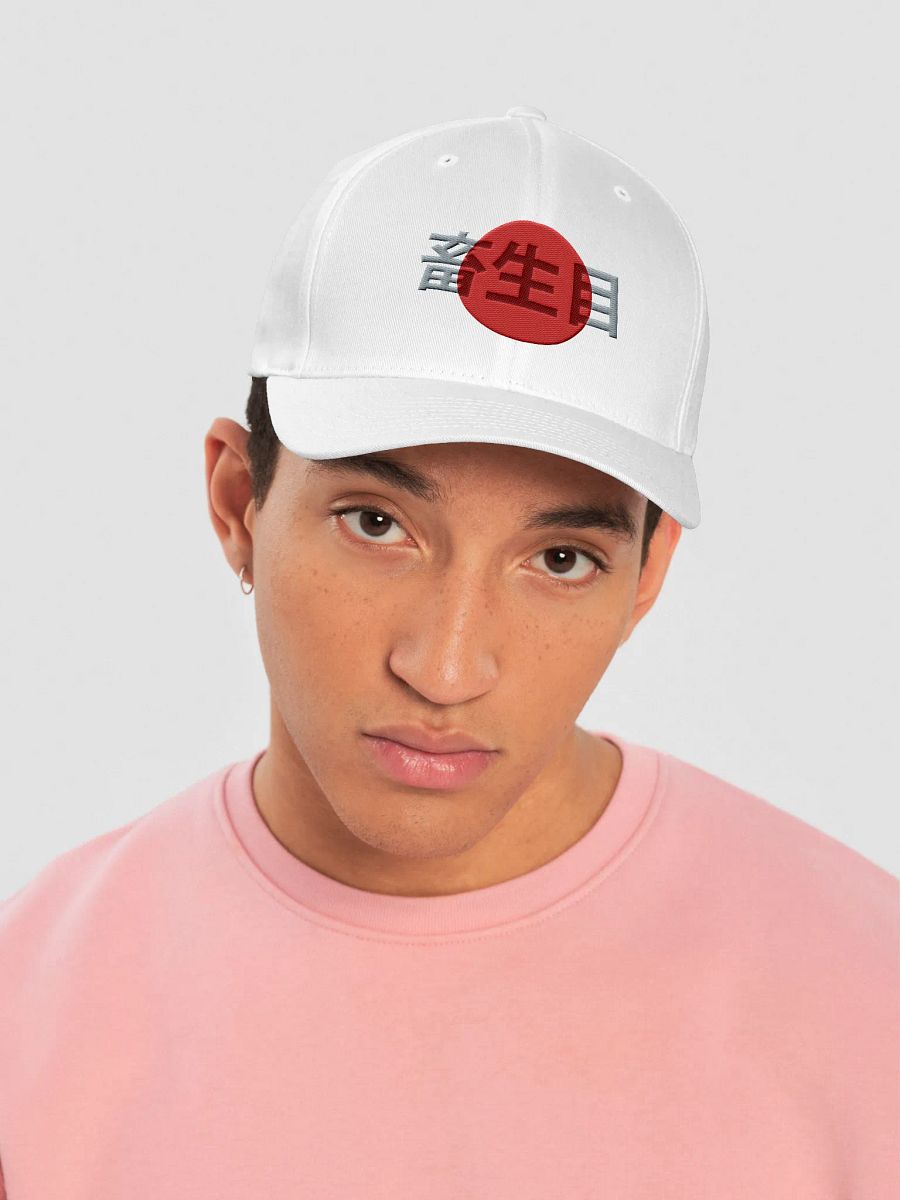 Japan product image (5)