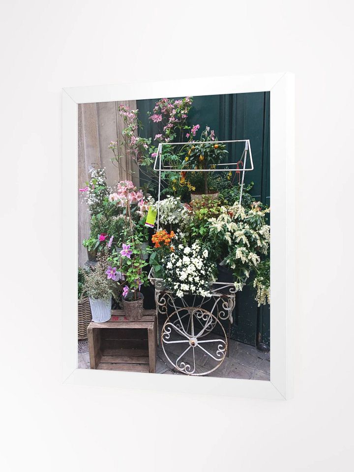 Paris Street Flower Shop product image (2)