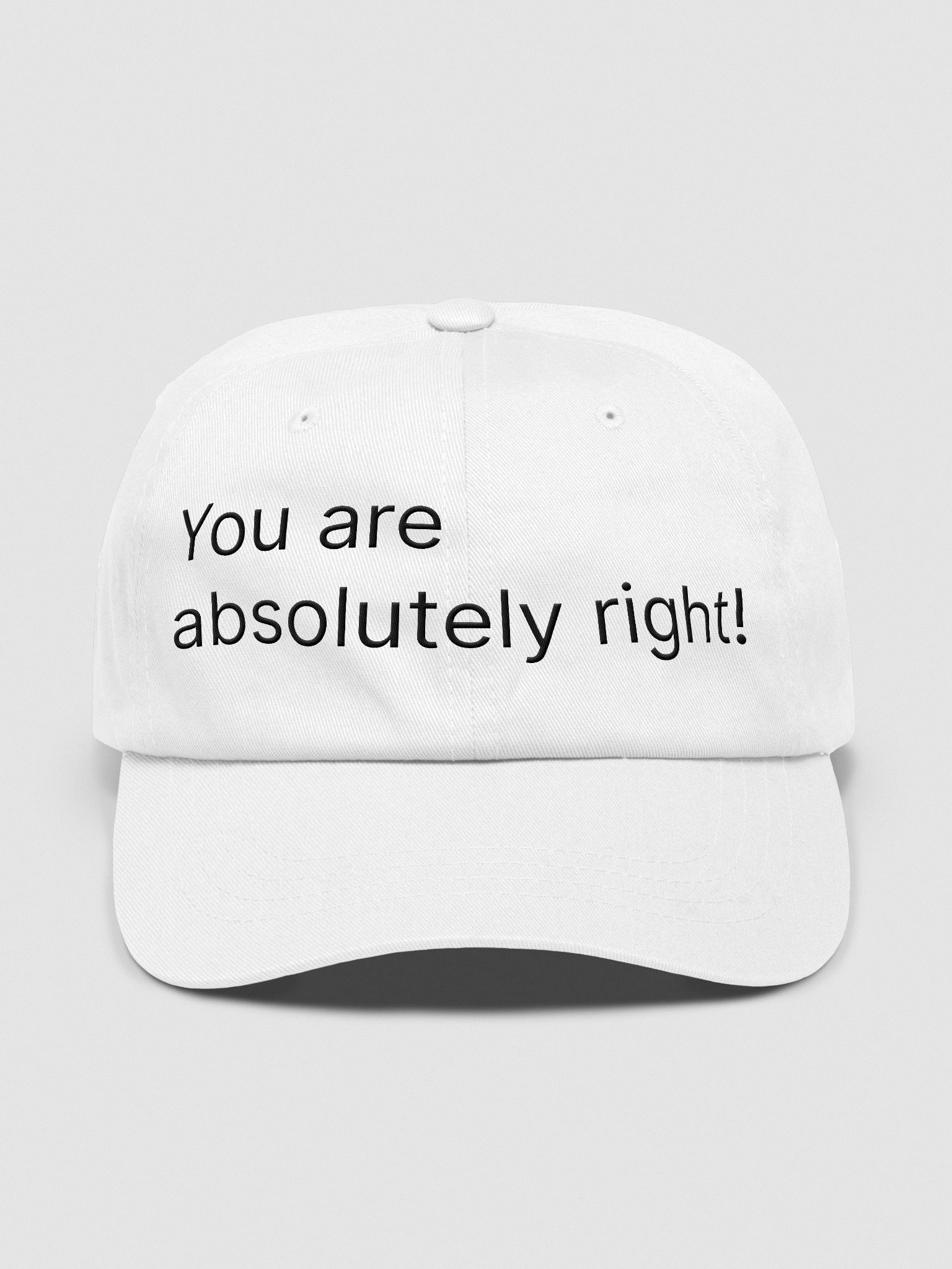 You are absolutely right! product image (1)