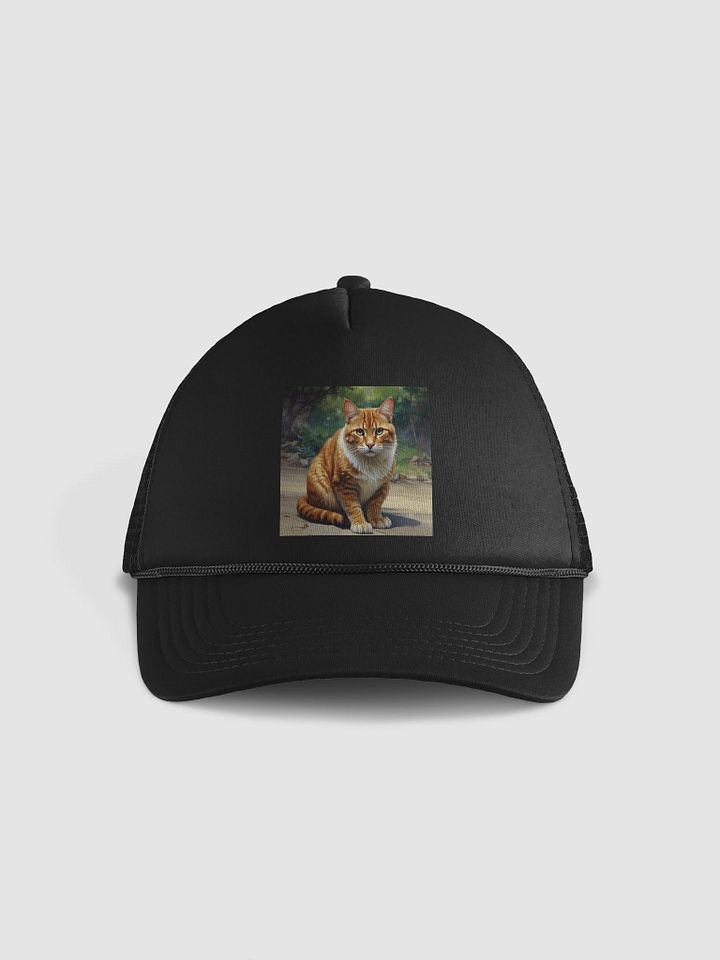 Cat product image (1)