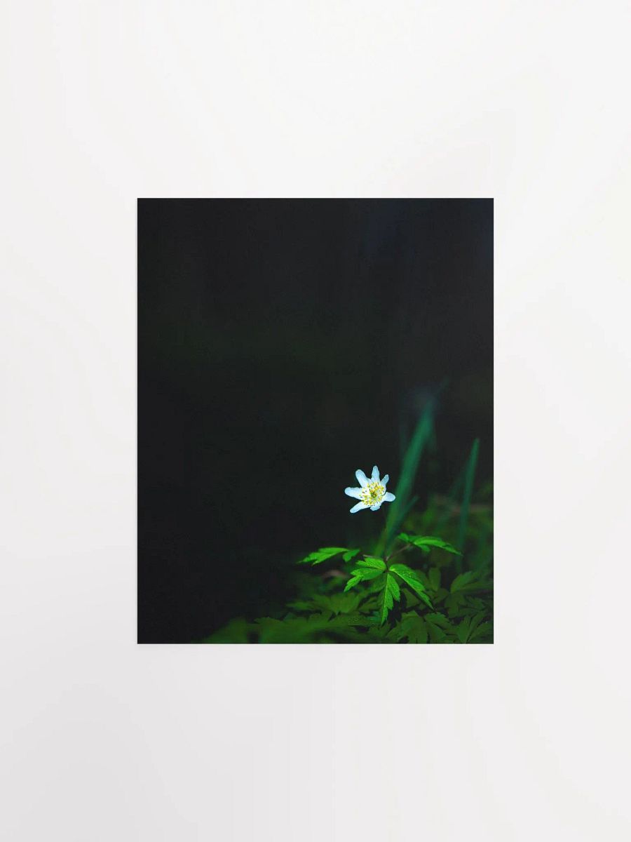Alone in the dark product image (1)