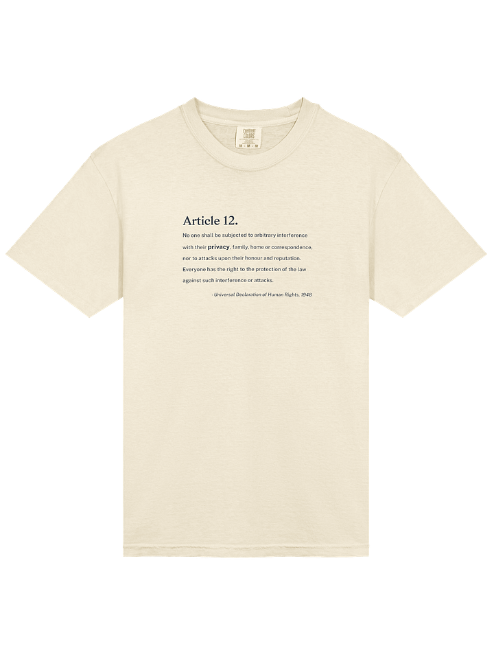 Article 12 - Heavyweight T-Shirt (Comfort Colors) product image (1)