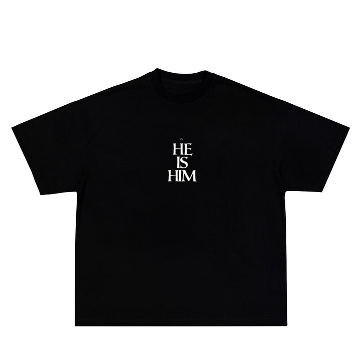 He His Him t-shirt product image (1)