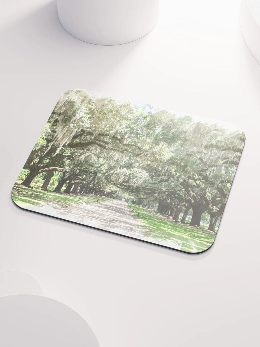 Avenue of the Oaks, Boone Hall Mousepad product image (3)