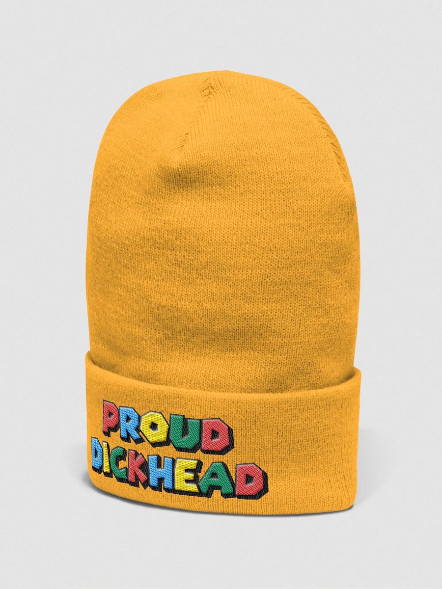 Proud Dickhead Embroidered Beanie product image (3)