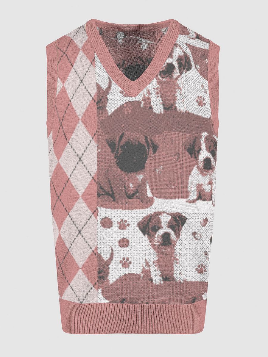 Argyle Paws Knitted V-Neck Vest product image (3)