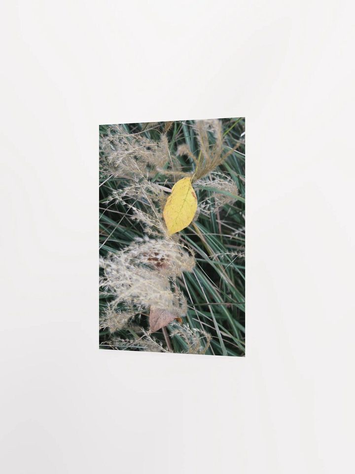 A Study in Flowers 11 product image (17)