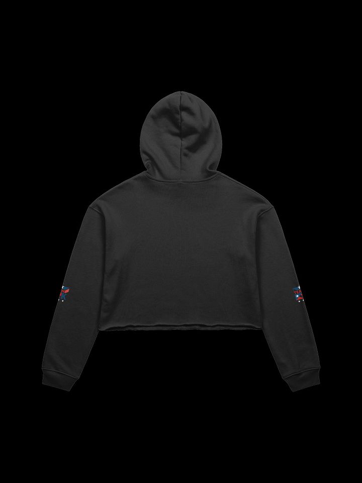 Team K Puerto Rico Crop Hoodie product image (15)