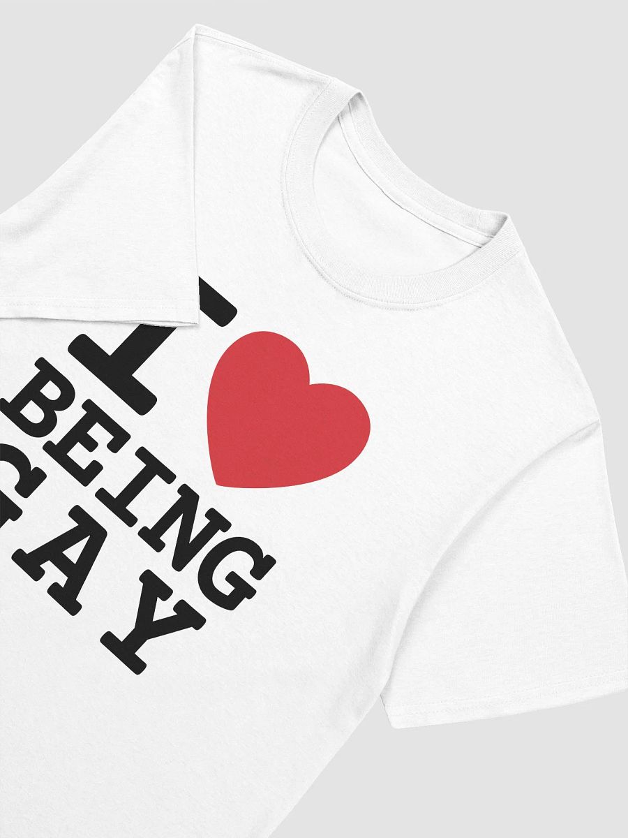 I Love Being Gay product image (3)