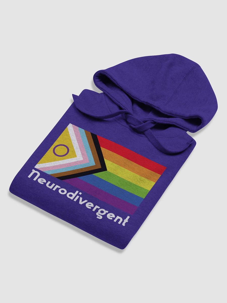 LGBTQIA+ Neurodivergent Inclusive Pride Hoodie product image (5)