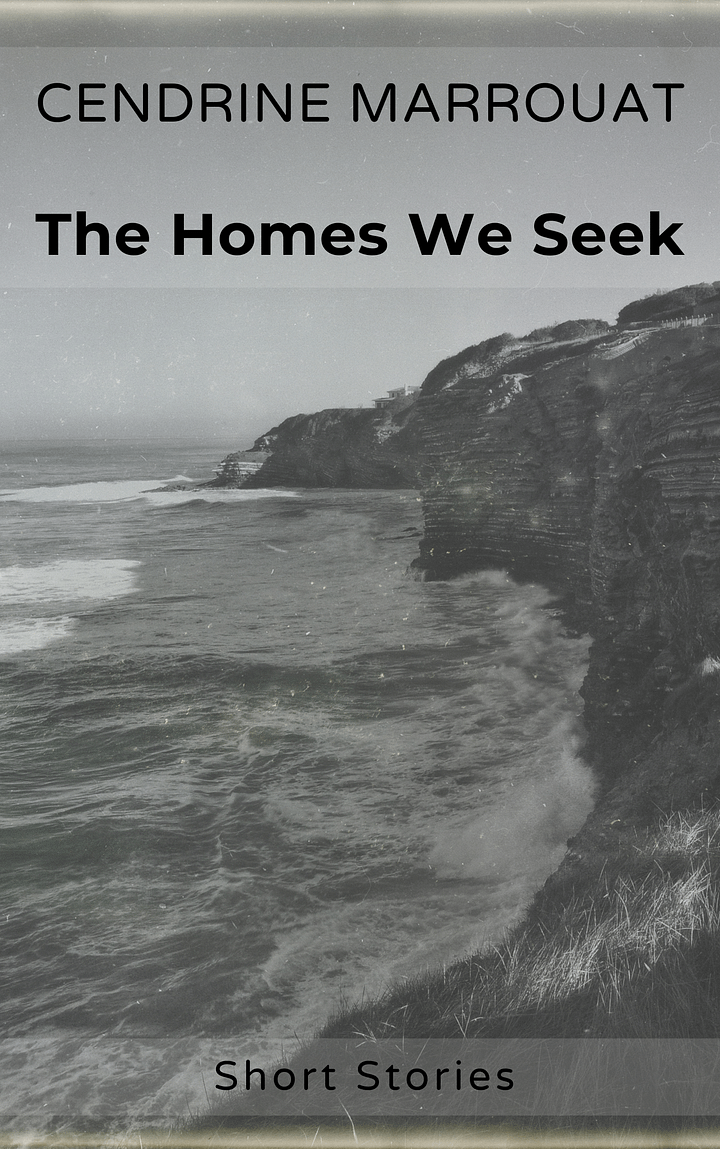 The Homes We Seek product image (1)