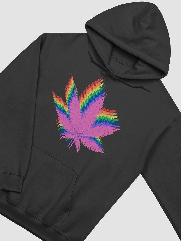 420 Degree Rainbow Hoodie product image (2)