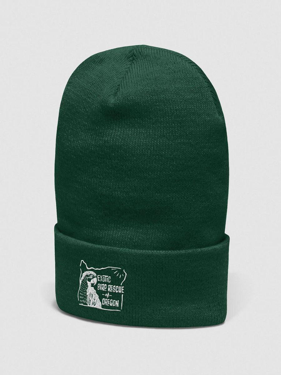 EBR Logo Beanie product image (2)