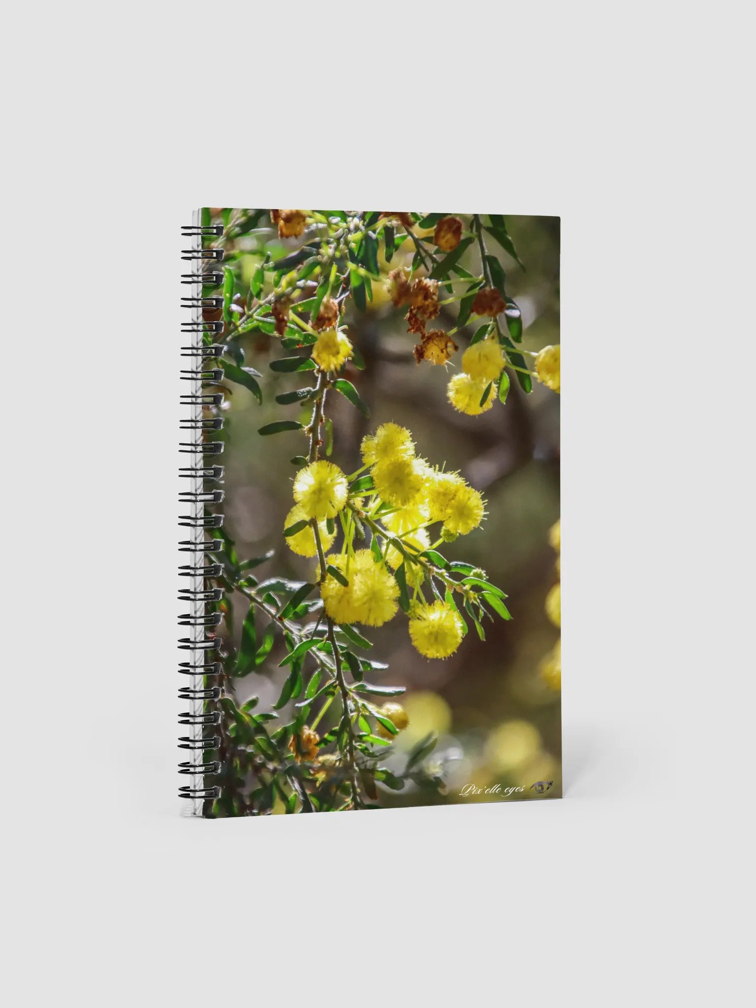 📓 Notebook Collection PURE – Jardin du Rayol – Pompons de Soleil product image (1)