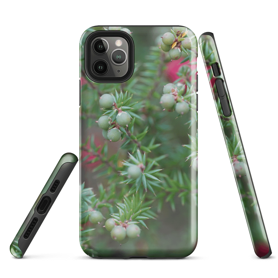 Berries product image (3)