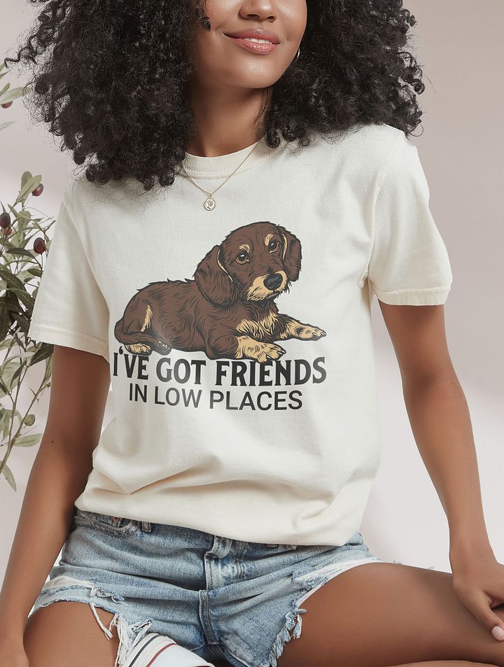 I've Got Friends in Low Places T-Shirt of a Dachshund (Wirehaired Brown) | Funny T-Shirt for Wiener and Doxie Paw-rents product image (25)