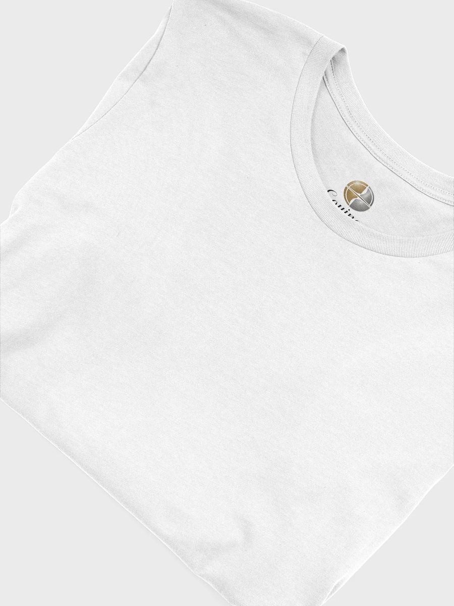 Equinox Unisex T-Shirt with Back Compass Design product image (7)