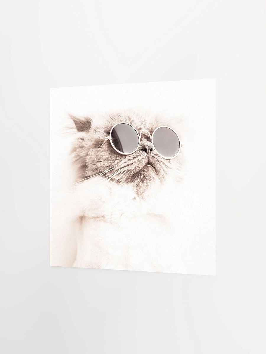 Cool Cat Square Poster product image (5)