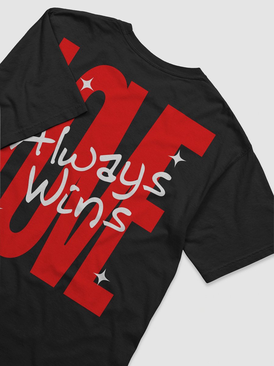 Love Always Wins Heavyweight Tee Black product image (6)