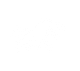 Pirate Rex