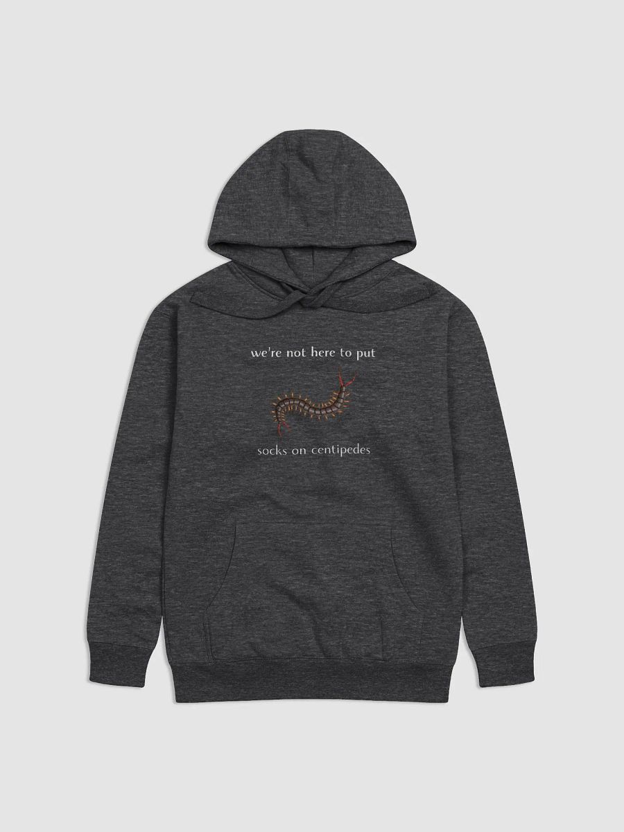 Socks on Centipedes Unisex Hoodie product image (1)