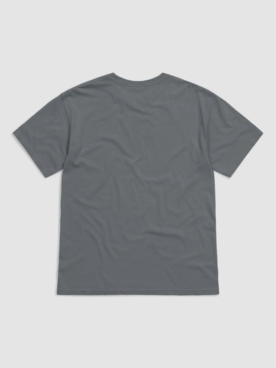 Champion T-Shirt on Gray/White/Ivory product image (6)