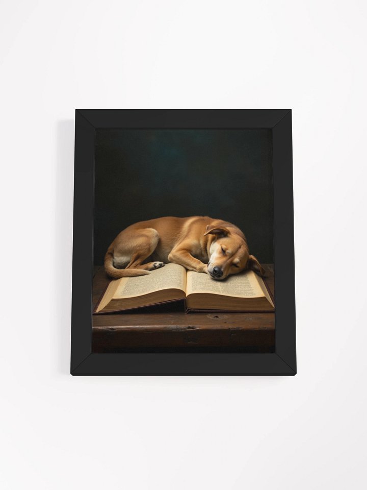 Sleeping Potcake Framed Picture 2 product image (10)