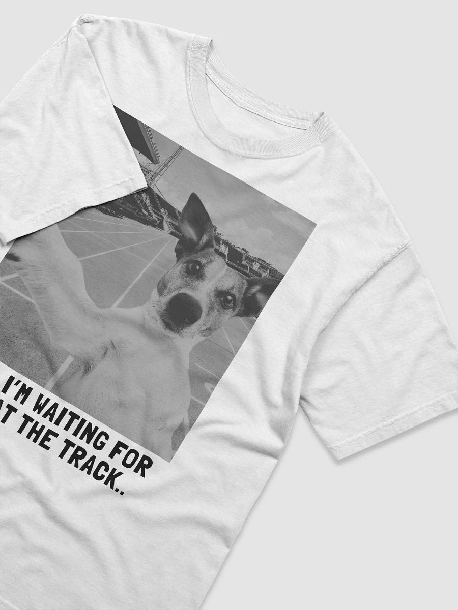 Dog Selfie Cloud Comfort Heavyweight Tee product image (2)