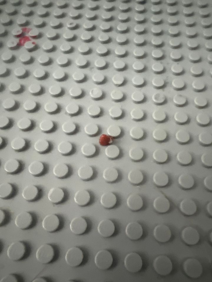 Enter in poop piece product image (1)