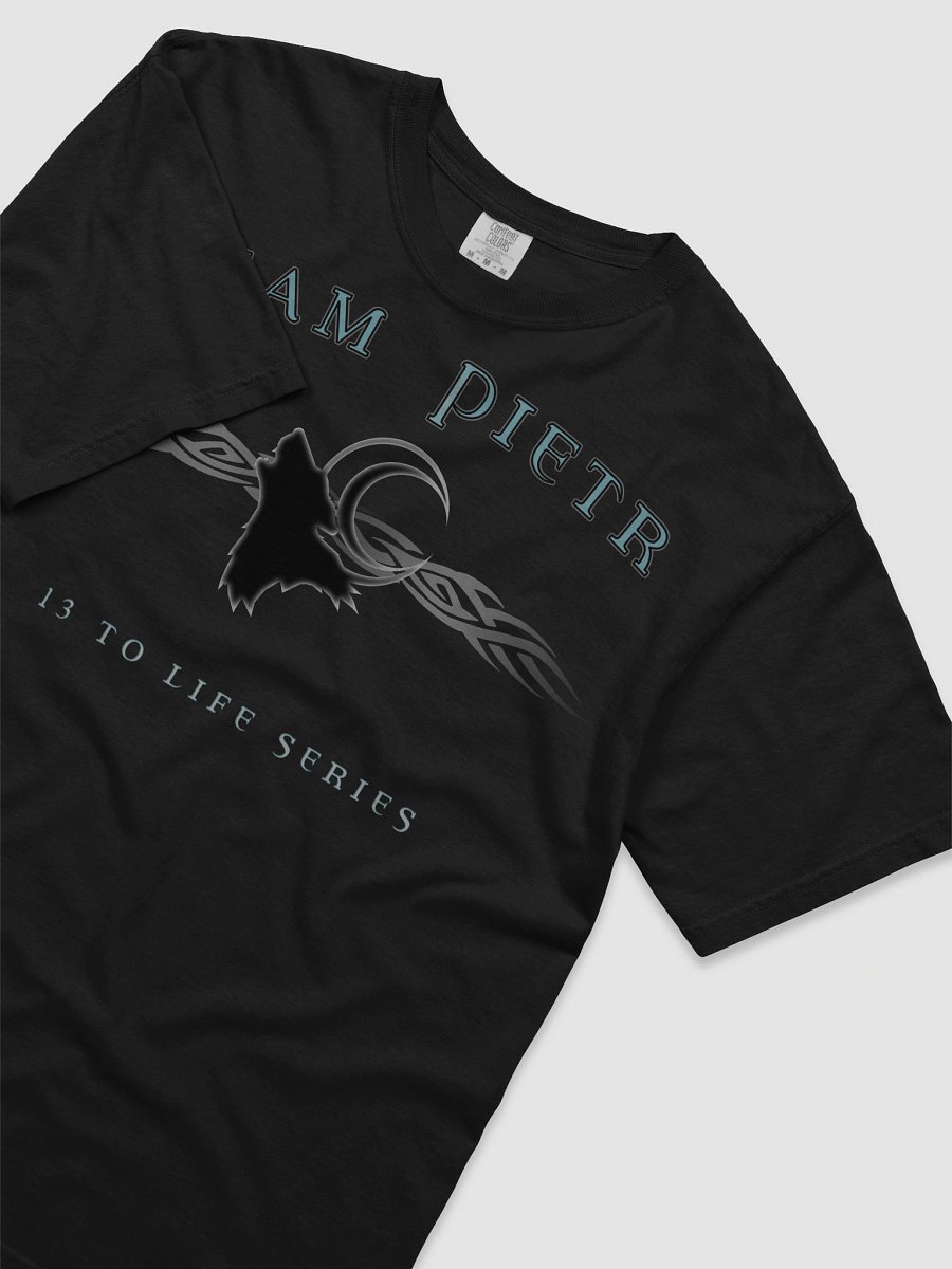 TEAM PIETR T-shirt— 13 TO LIFE series T-shirt product image (5)
