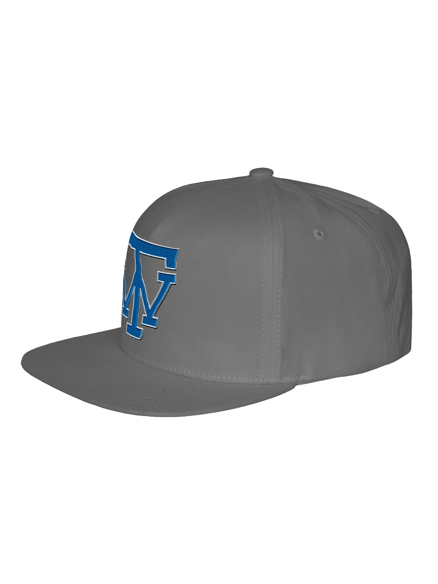 TW Logo Flat Snapback Cap product image (2)