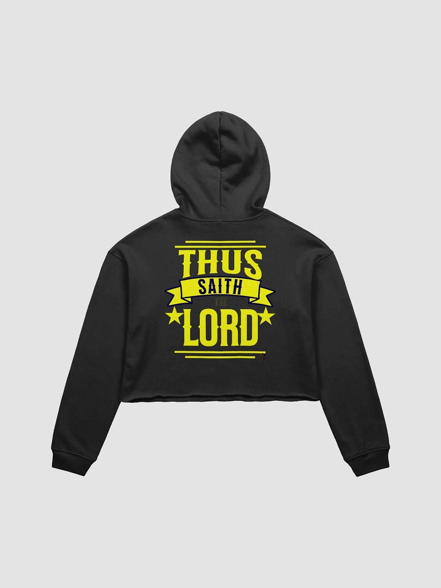Divine Proclamation Crop Hoodie product image (1)
