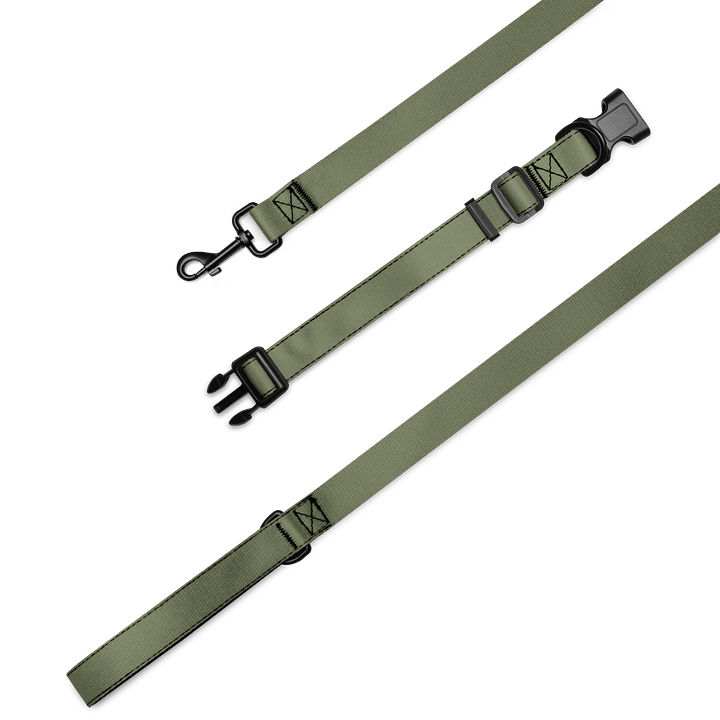 Lucky Dog Khaki Pet Collar & Leash Set 05 product image (1)