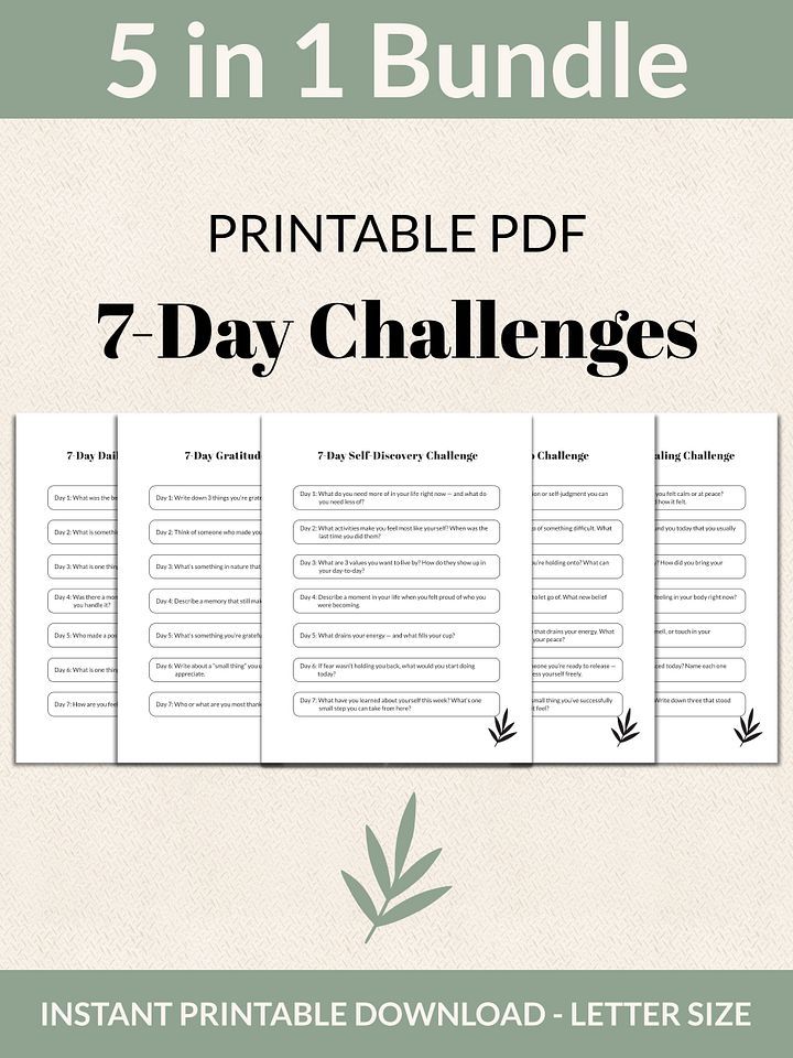 Self-Reflection & Inner Growth Bundle 7-Day Challenges Printable product image (1)