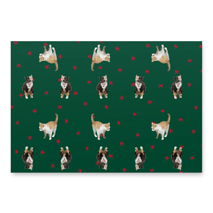 Lyra/Thurston Collab Christmas Wrapping Paper product image (1)