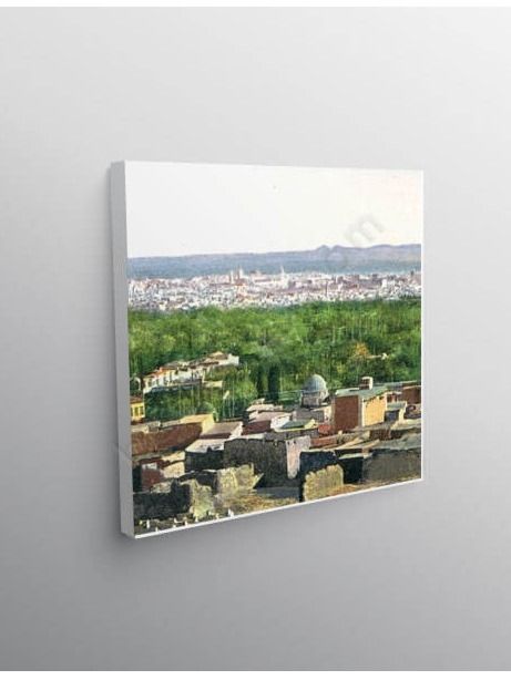صورة : منظر عام للدمشق من الصالحية بداية القرن العشرين product image (1)