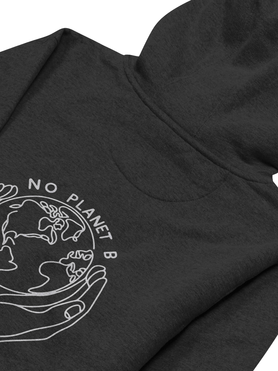 No Planet B Line Art Design Hoodie product image (4)