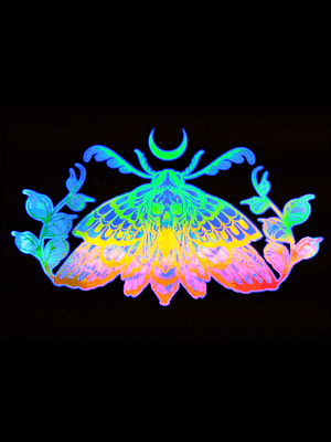 Deathead Moth product image (5)