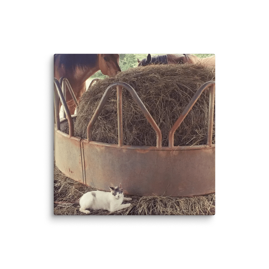 Rustic Farmyard Canvas Collection product image (1)