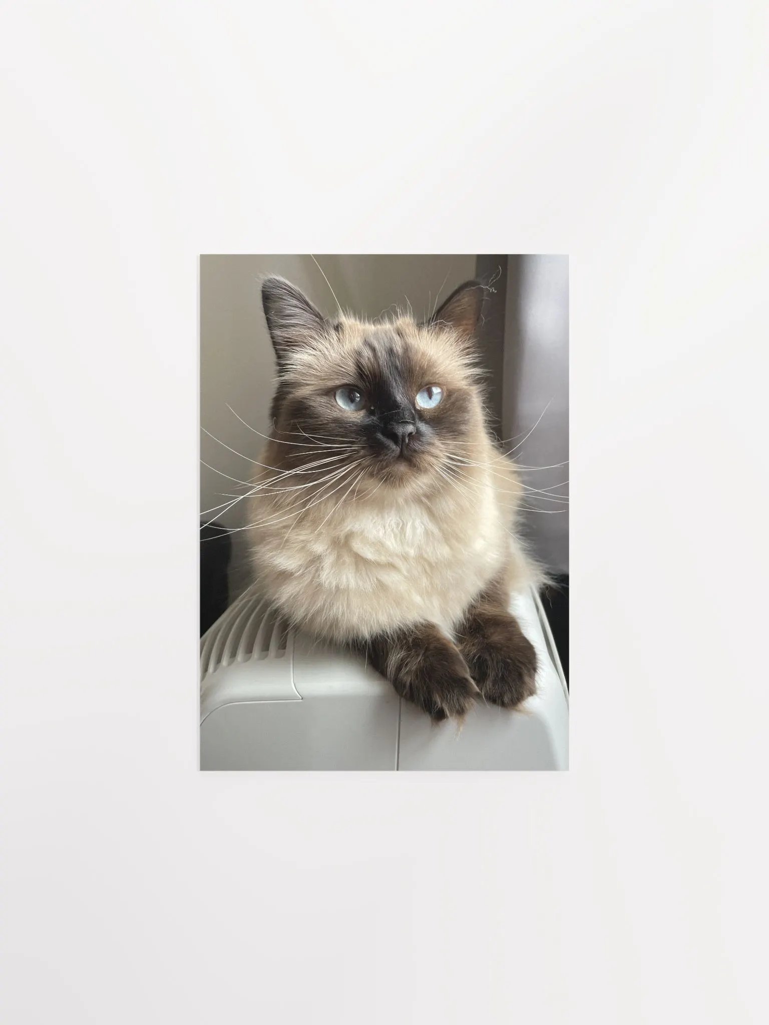 Lilith Poster product image (1)