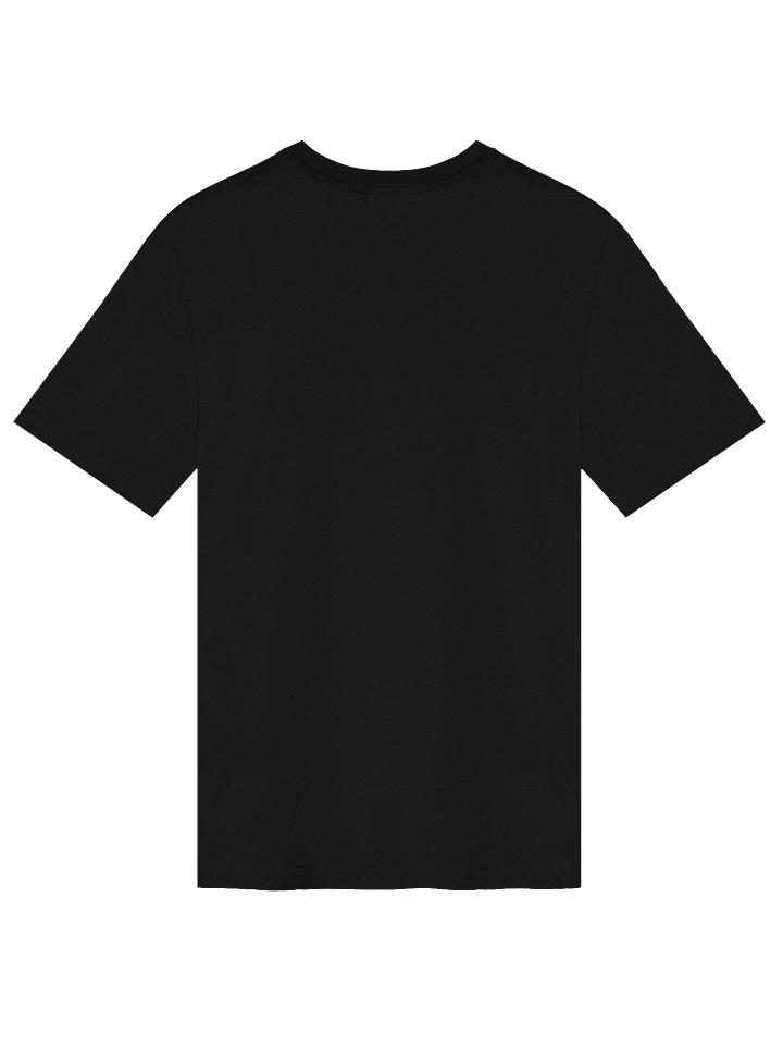 Ridgedale Organic T Shirt Black product image (2)