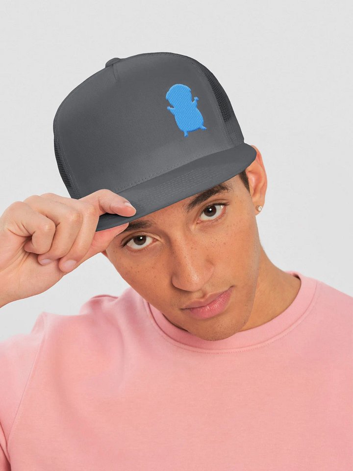 FIRESNOUT CHARCOAL AND TEAL HAT product image (2)
