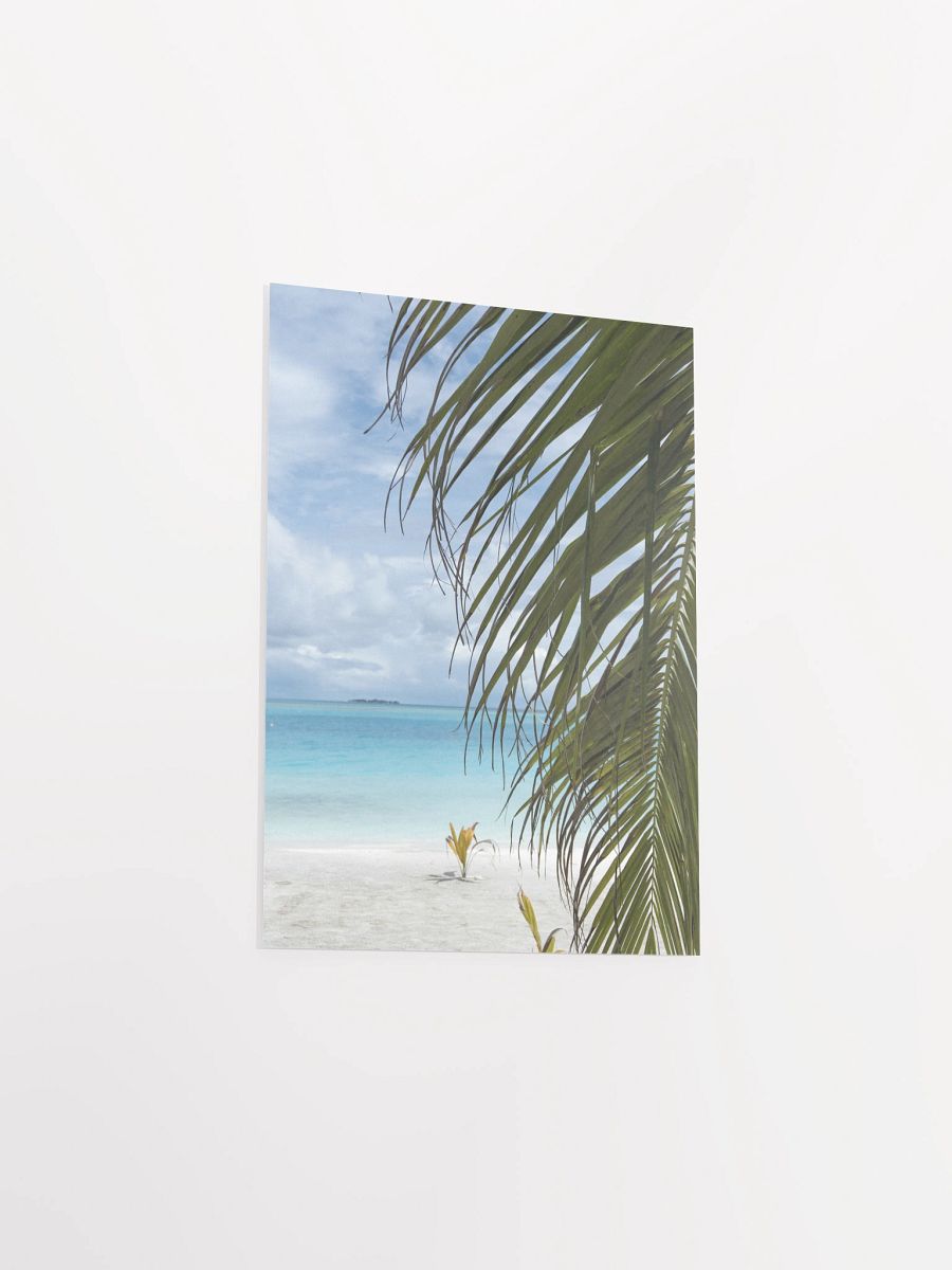 Maldives palm - Enhanced Matte Paper Poster product image (3)