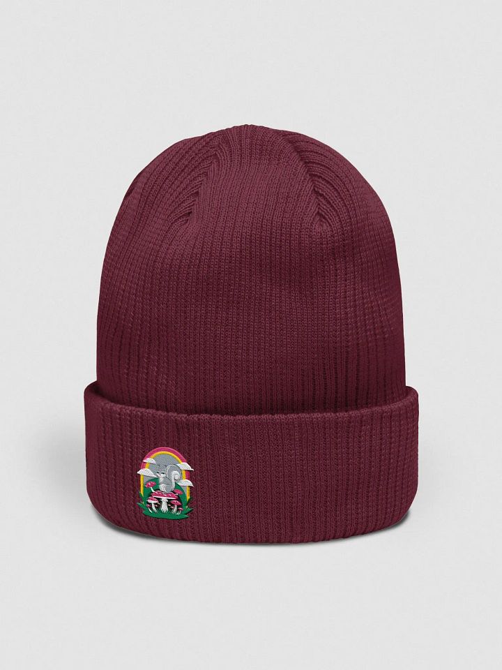 Organic Cotton Embroidered Rainbow Mushroom Squirrel Beanie product image (2)