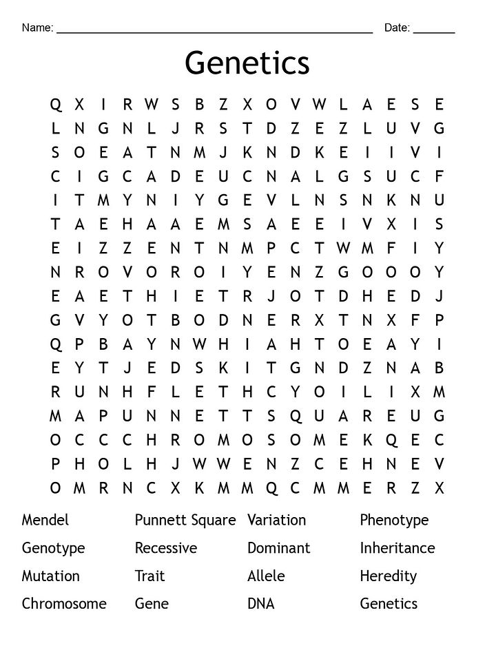 Printable Genetics Word Search – 16 Key Vocabulary Puzzle Activities! product image (1)