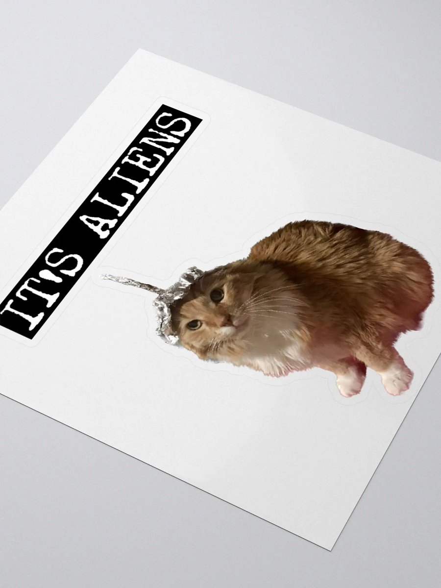 IT'S ALIENS Sticker product image (3)