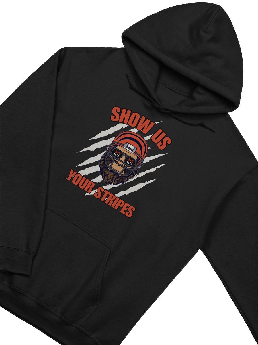 Show Us Your Stripes Hoodie product image (3)